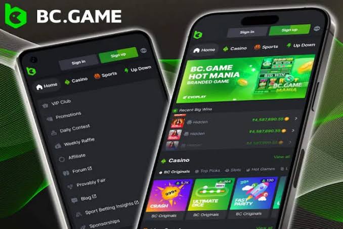 Exploring BC.Game The Leading Online Crypto Gaming Platform