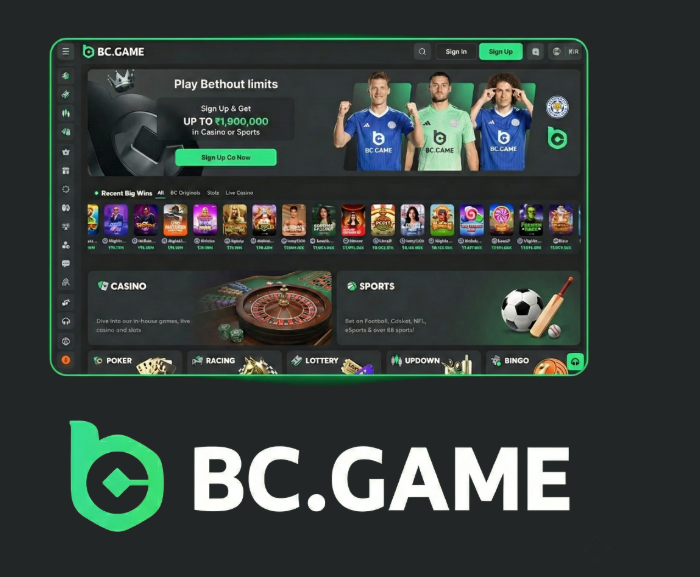 Exploring the Exciting Features of BC.Game Online Platform -254891026